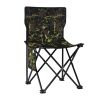 Camping Chair Heavy Duty 600D Portable Folding Chair Outdoor Fishing Hiking US